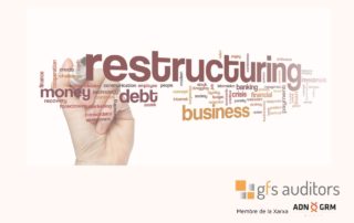 tejido empresarial y el rol del reestructurador